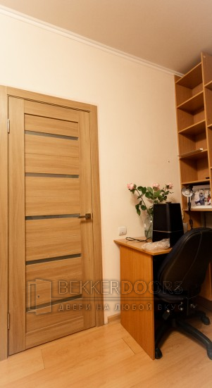 Дверь DUPLEX стекло Мателюкс в цвете Дуб золотой
